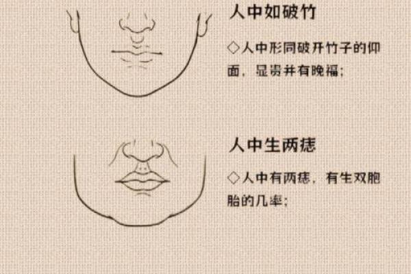 解码面相：底库揭秘，让你一眼识人