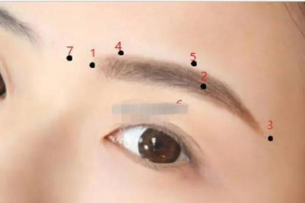 骨相面相秘术：一眼识人，精准解读命运密码