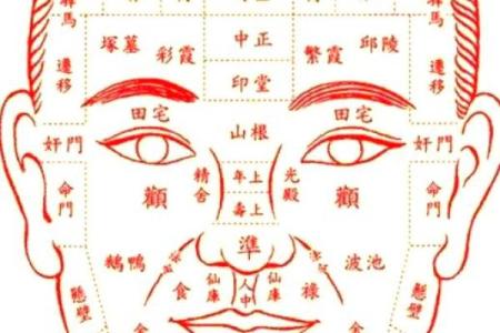 面相解码：揭秘女性神秘轮廓之美