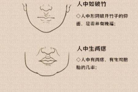 解码面相：底库揭秘，让你一眼识人