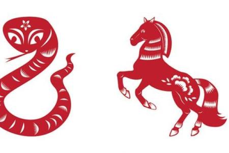 生肖隐秘大揭秘：谁是你暗中守护的幸运神？