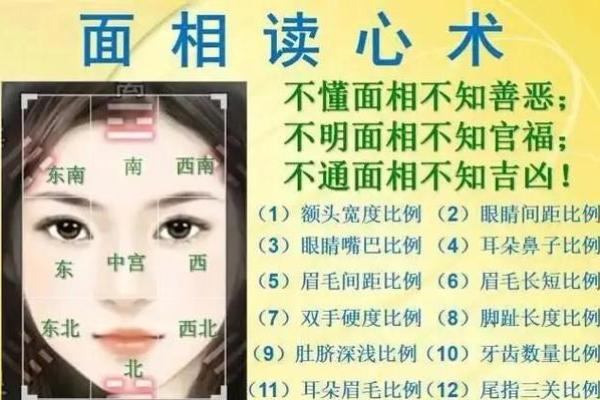 五行面相揭秘：识破命运密码，洞察人生运势