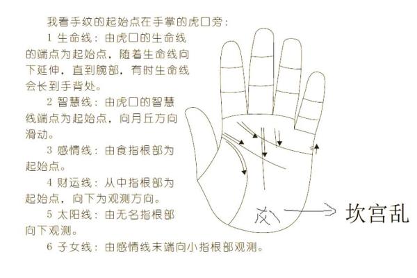 掌纹面相揭秘：一掌在手，运势全收
