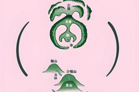 神秘龙痣揭秘：你身上有龙脉吗？