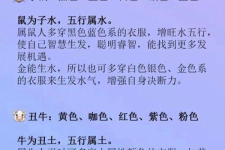 鼠年运势大揭秘：相配的生肖运势如何？