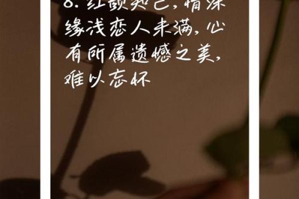 情深缘浅，不相配的恋人
