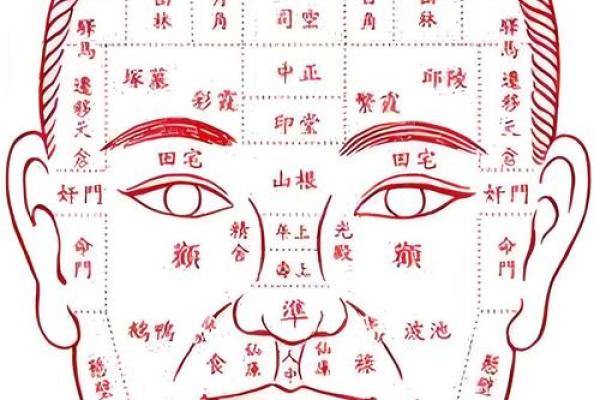 揭秘面相秘籍：痣的分布与命运的秘密，你了解多少？