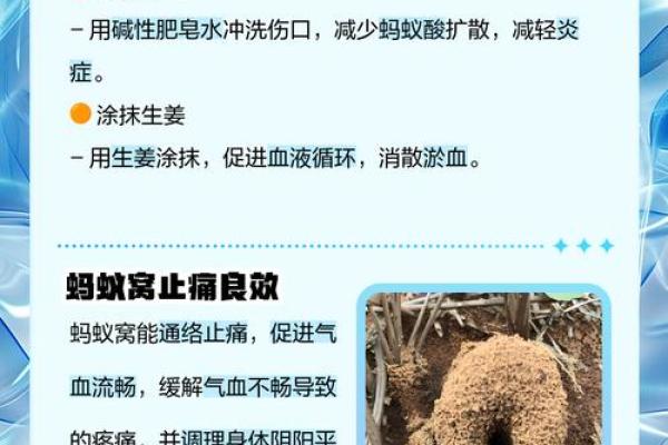 风水破局蚂蚁窝入侵，家居风水大揭秘