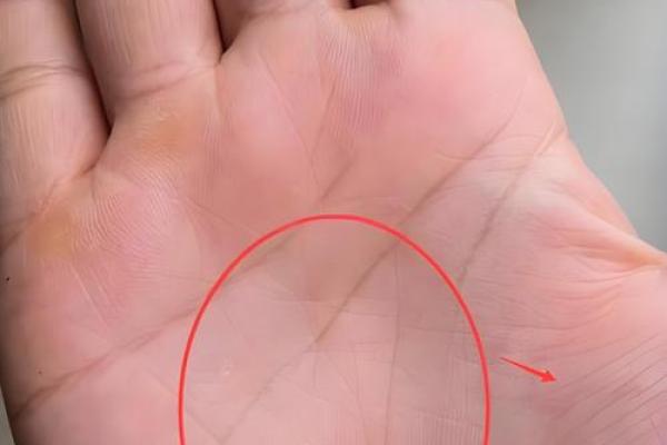 手相婚姻线出现神秘圆圈？揭秘预示美满婚姻的神奇手相特征