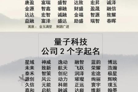 公司起名二字的独特魅力，提升品牌辨识度