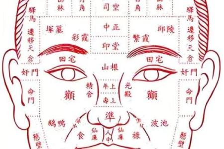 揭秘面相秘籍：痣的分布与命运的秘密，你了解多少？