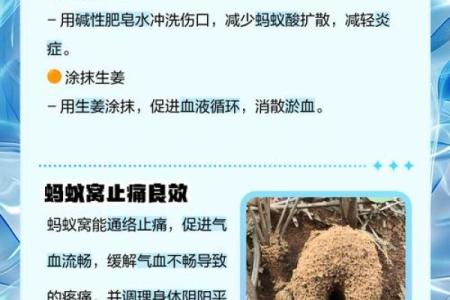 风水破局蚂蚁窝入侵，家居风水大揭秘