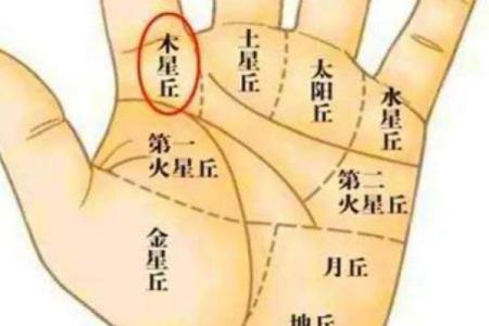揭秘手相粗糙背后的惊人秘密，你的运势大揭秘