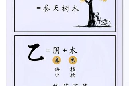 天干图腾：命理学中的无穷智慧