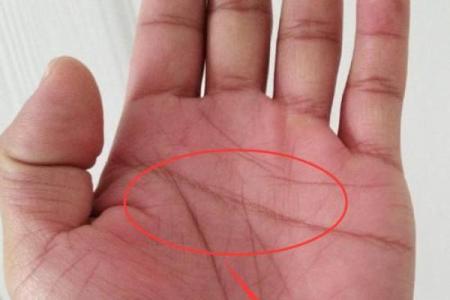 手相婚姻线出现神秘圆圈？揭秘预示美满婚姻的神奇手相特征