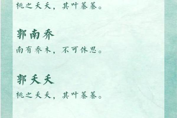 为郭姓男孩起名的最佳选择：寓意与音韵的完美结合