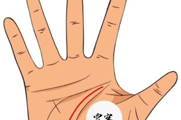 手相揭秘：生命线长分叉预示着怎样的命运转折？揭秘你的运势密码