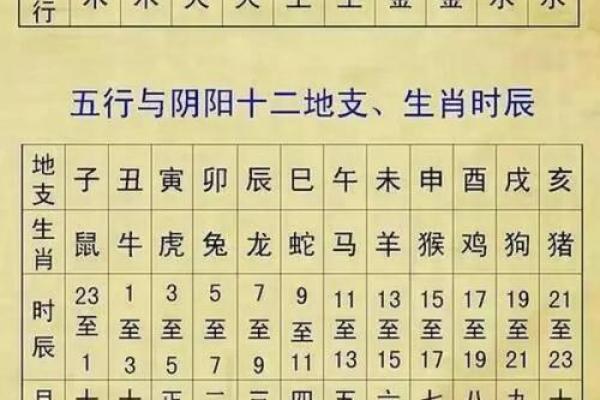 天干地支与五行的关系及其实际运用