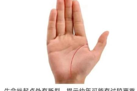 手相揭秘：生命线长分叉预示着怎样的命运转折？揭秘你的运势密码