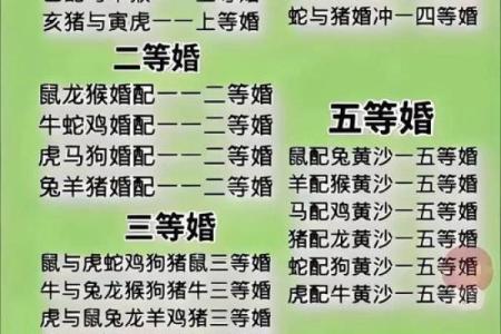 生肖配对大揭秘，亲情相吸的秘密在这里