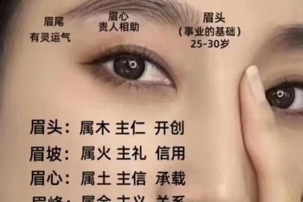 眉宇间藏富贵，揭秘眉毛分层面相的奥秘