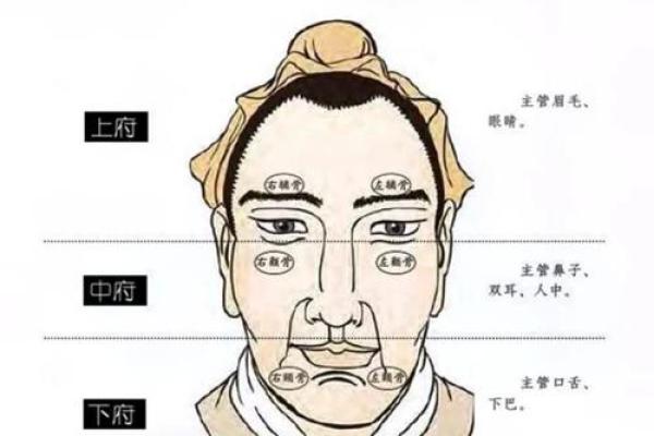 眉宇间藏富贵，揭秘眉毛分层面相的奥秘