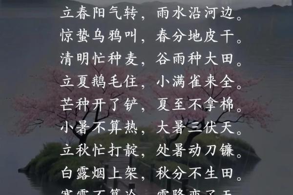解读节气歌与天干藏，探索自然与命运的联系