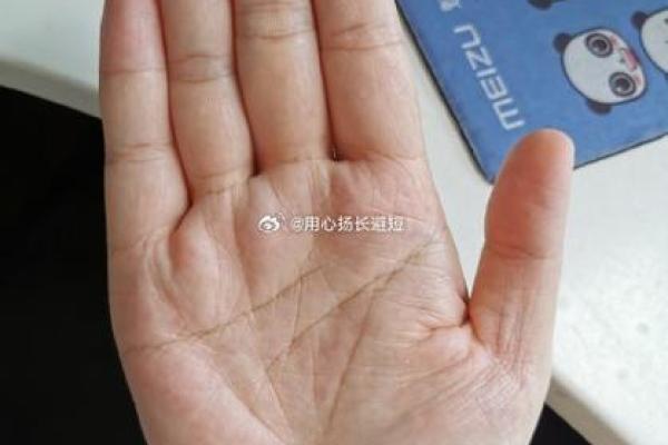 揭秘手相中湿手暗示的惊人运势，错过你就亏大了