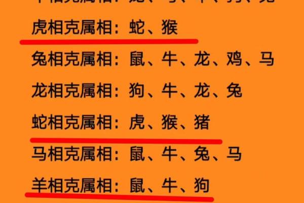 揭秘兔年出生男士：最适合的属相伴侣