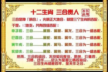 狗年生肖配对秘籍，解锁最佳伴侣组合