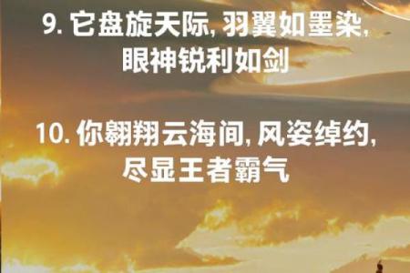 给鹰起名字的最佳灵感，做个飞翔王者