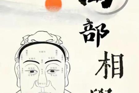 揭秘翁向宏面相学：读懂面部，洞察人心