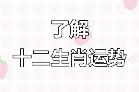 30岁，生肖运势大揭秘：揭秘你的运势转折点