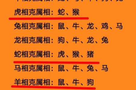 揭秘兔年出生男士：最适合的属相伴侣