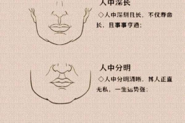 识人术：面相解析，一眼看透性格命运