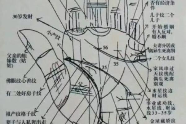 手相秘籍：一针见血，足底奥秘，揭秘命运转折点