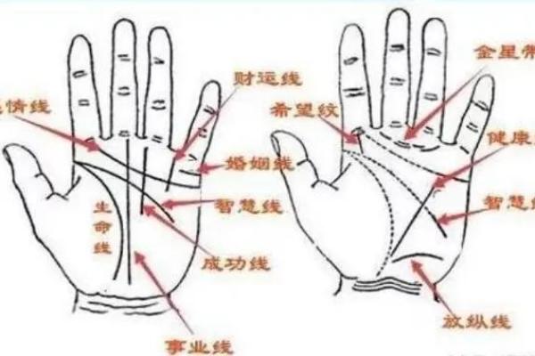 揭秘右手事业线：女性命运转折的神秘指引
