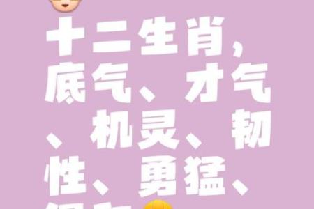 脚踏实地，生肖成就非凡人生之路