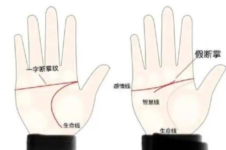 手相秘籍：一针见血，足底奥秘，揭秘命运转折点