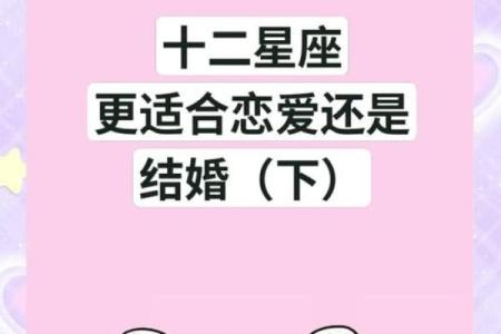 爱情魔法：星座配对，揭秘你的完美伴侣