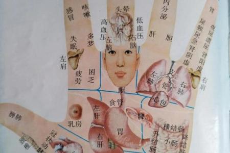 揭秘右手事业线：女性命运转折的神秘指引