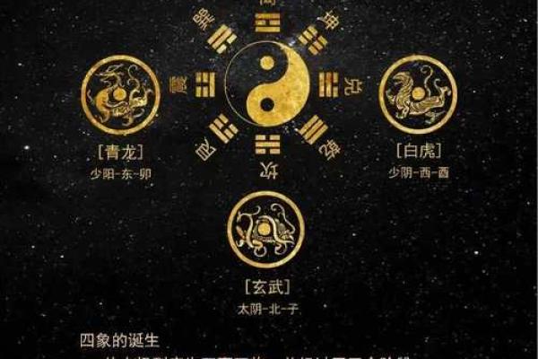 从天干地支看八卦的奥秘