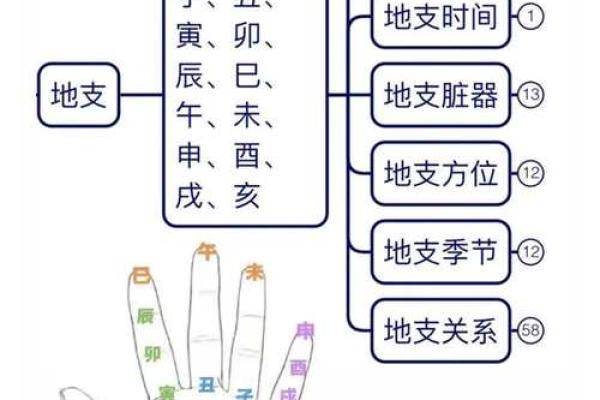 从天干地支看八卦的奥秘