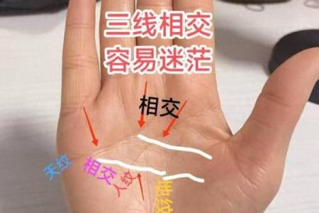 手相揭秘：感情专一红线，揭秘你的爱情忠诚度