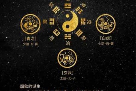 从天干地支看八卦的奥秘