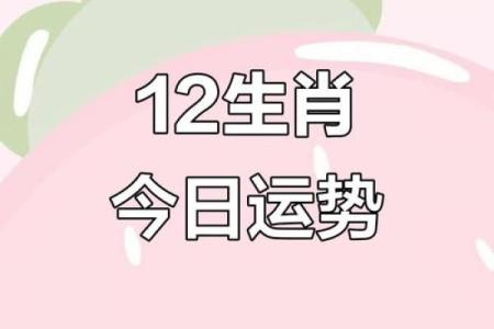 揭秘你的生辰属相，解锁运势密码