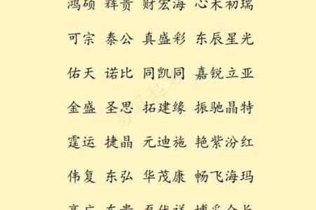 起个好名字，支付公司业务能飞跃
