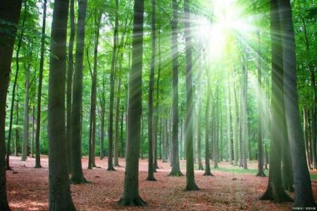 冬天出生的人五行缺什么，揭秘命运的关键因素