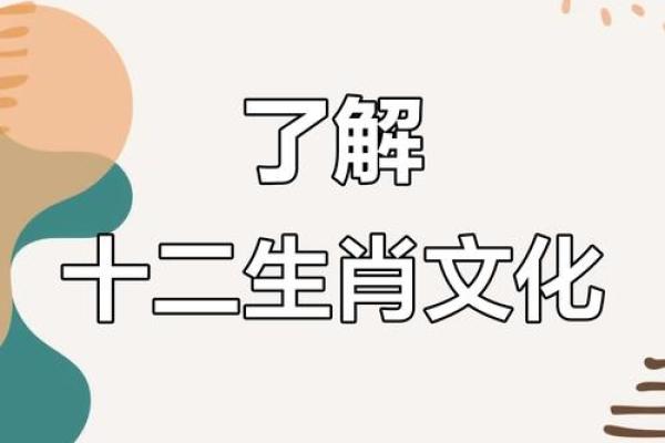 十二生肖，揭秘生肖背后的神秘力量