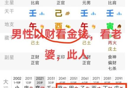 揭秘命理四柱：命运之谜一网打尽